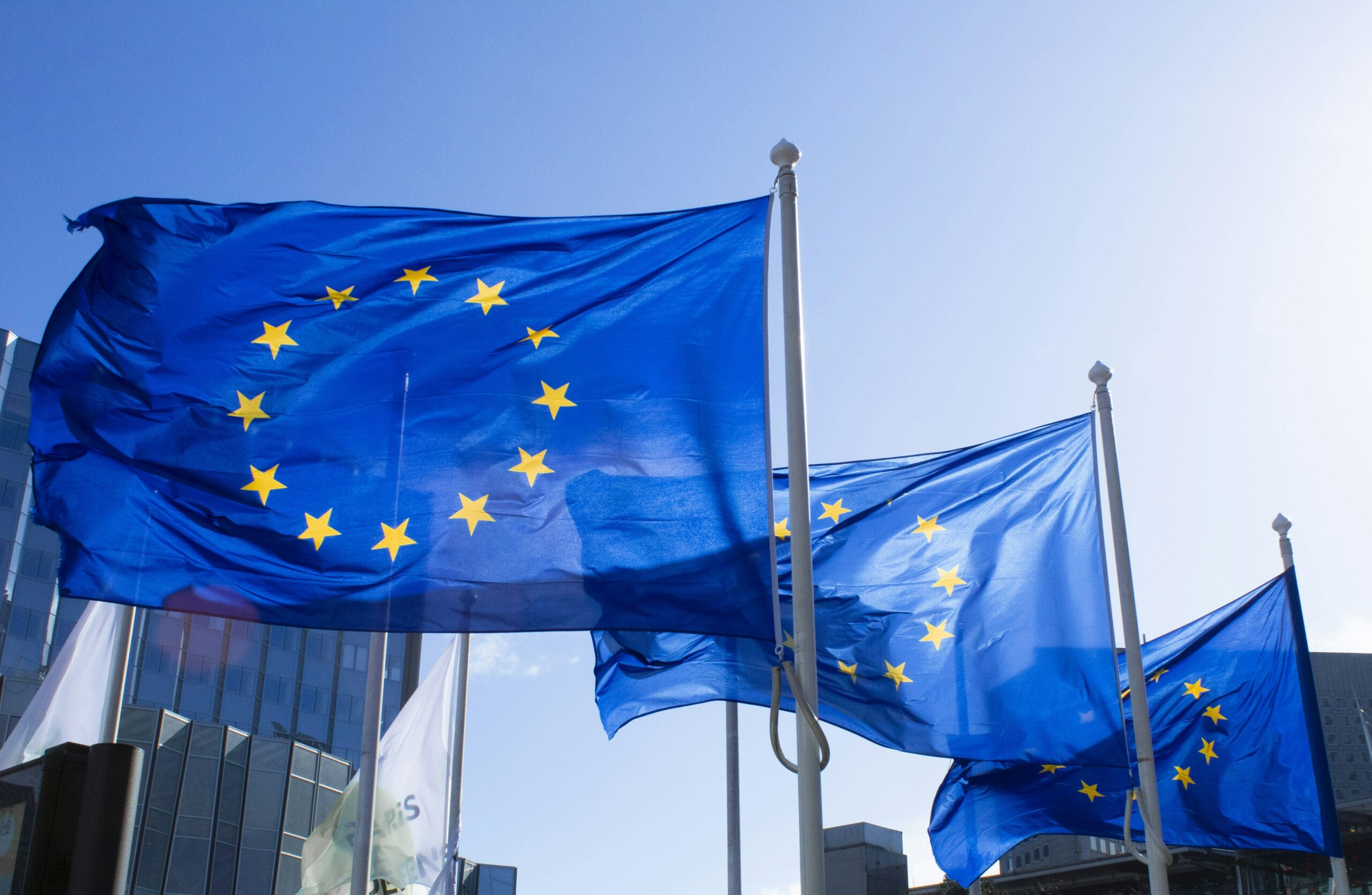 Akademia Cyfrowych Kompetencji - Flagi Unii Europejskiej
